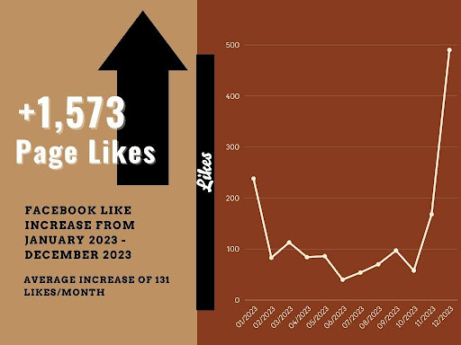Charts: This chart helps with the visual representation of the Facebook account over the past year.