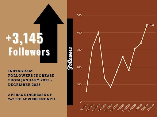 Charts: This chart will help to visualize the growth of the Instagram account.