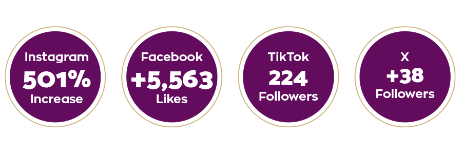 social media growth social media growth